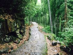 -藏龙百瀑风景区