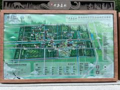 -黄海国家森林公园