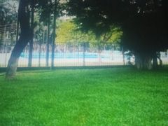 -中山大学（南校区）-英东游泳场