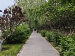 -元大都城垣遗址公园