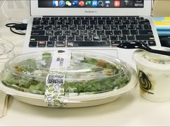 -油梨树AVOCADO TREE(嘉里中心店)