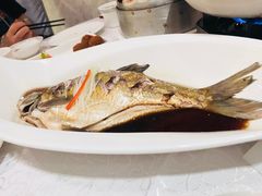 清蒸武昌鱼-亢龙太子酒轩(东湖店)