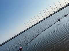 -碧海金沙