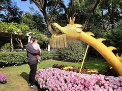 -汇龙潭