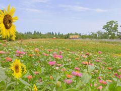 -同里国家湿地公园