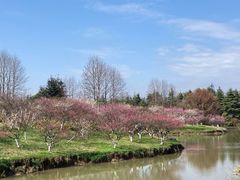 -上海海湾国家森林公园