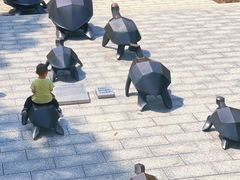 -广东惠东海龟国家级自然保护区