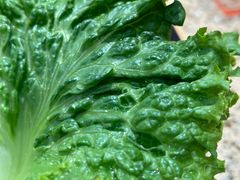 -安又胖韩国烤肉(泰达永旺店)