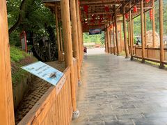 -荔江湾景区