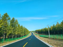 -塞罕坝国家级自然保护区