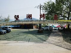 -望湖烤鱼