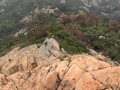 -北岐滩涂