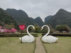 -靖西鹅泉风景区