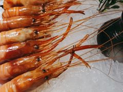 -乔街深夜食堂·台州菜·高压锅生蚝(杭州总店)