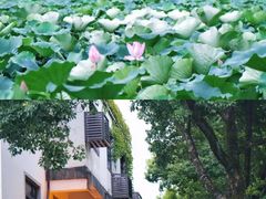 -柯岩风景区