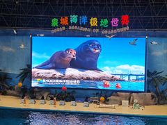 -泉城欧乐堡海洋极地世界