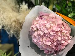 -FEI FEI FLOWER鲜花店·气球派对·宝宝宴布置(虹口德必运动Loft店)
