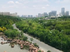 -小绿谷公园