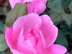 -人民公园(罗湖区)