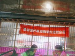 -望湘园·洞庭渔宴(浦江欢乐颂店)