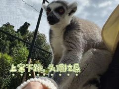 -云南野生动物园