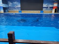 -锦艺城海洋馆