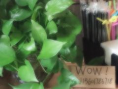 -WOW coffee