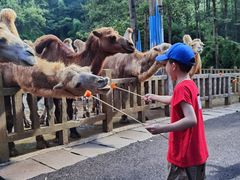 -贵州森林野生动物园