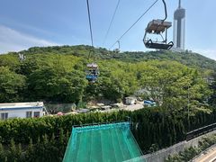 -富斯特索道