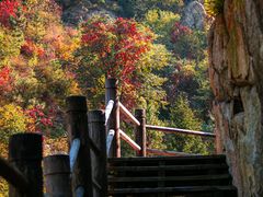 -九如山休闲旅游度假区