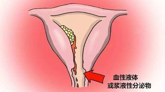 -邢台妇产医院