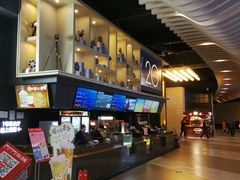 -新影联·华谊兄弟影院(望京店)