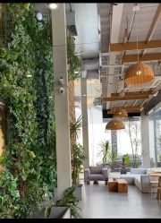 -七色田儿童摄影(静安店)