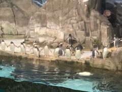 -成都浩海立方海洋公园