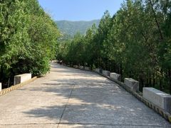 -蟒山国家森林公园天池停车场