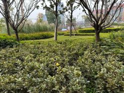 -重庆医科大学附属儿童医院(两江院区)