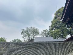 -青城山