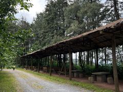-重庆雨台山风景区
