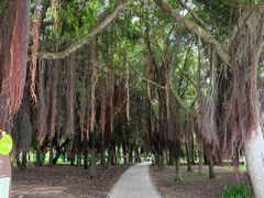 -深圳湾公园(南山区)