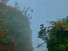 -峨眉山风景名胜区