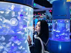 -重庆欢乐海底世界