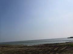 -合肥滨湖国家森林公园