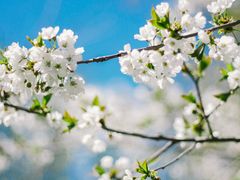 -武汉木兰草原风景区