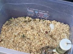 -青石桥花鸟鱼虫市场(叠翠城店)