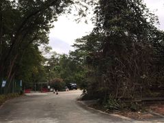 -华南国家植物园-售票处