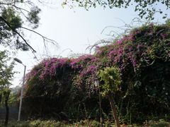 -铁路文化公园