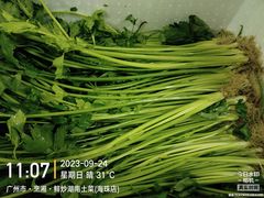 -烹湘·鲜炒湖南土菜(海珠店)