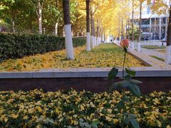 -北京化工大学(东校区)