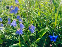 -白草畔自然风景区