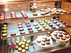 -鱼鲜饭香·招牌汽锅剁椒鱼头王